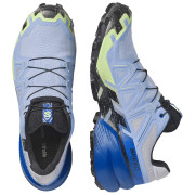 Muške tenisice za trčanje Salomon Speedcross 6 GTX Icon
