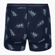 Muške funkcionalne bokserice Icebreaker Men M 150 Anatomica Boxers BearTourAOP
