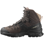 Ženske planinske cipele Salomon Quest 4 Gore-Tex
