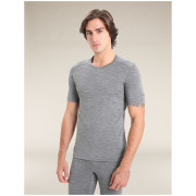 Muška majica Icebreaker Men 200 Oasis SS Crewe