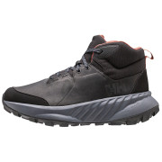 Muške cipele Helly Hansen Awe Hiker Leather