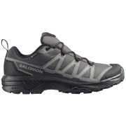 Muške trekking cipele Salomon Exraise Gtx siva Asphalt / Sedona Sage / Black