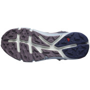 Ženske planinarske cipele Salomon Predict Hike Mid Gore-Tex