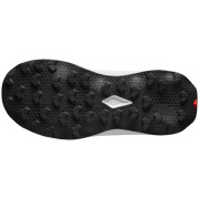 Ženske cipele Salomon Ultra Flow 2 W