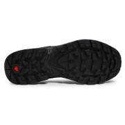 Muške cipele Salomon Quest 4 Gore-Tex
