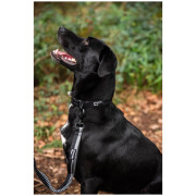 Povodac s amortizerom Mountain Paws Stretch Dog Lead