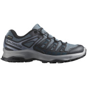 Ženske planinske cipele Salomon Extegra Gore-Tex siva Turbulence / Black / Grisaille