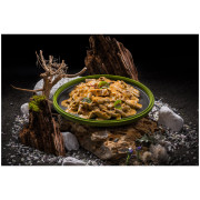 Dehidrirana hrana Adventure Menu Proteinski penne od cvrčaka s piletinom u umaku od kreolskog vrhnja