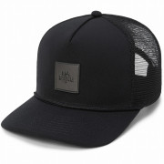 Šilterica Dakine Coastline Trucker crna/siva black