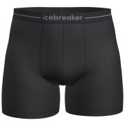 Muške bokserice Icebreaker Mens Anatomica Boxers