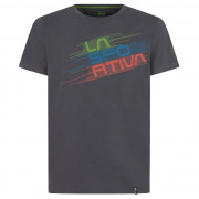 Muška majica La Sportiva Stripe Evo T-Shirt M siva/zelena