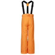 Dječje skijaške hlače Dare 2b Outmove III Insulated Pant ElectricOrng