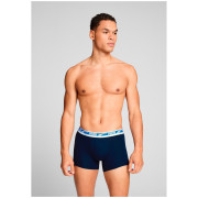 Muške bokserice Puma Everyday Multi Logo Boxers 2P