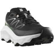 Ženske cipele Salomon Ultra Flow 2 W