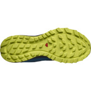 Muške cipele Salomon Trailster 2 GTX