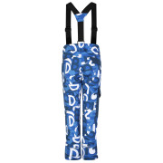 Dječje hlače Dare 2b Pow Pant