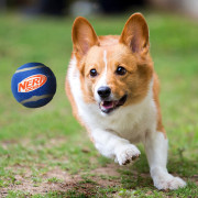 Igračka za psa Nerf Dog Squeak Tennis Ball 3 pcs