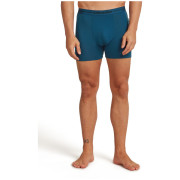 Muške bokserice Icebreaker Men Merino 150 Anatomica Boxers