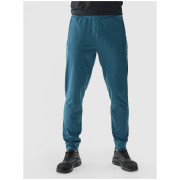 Muške trenerke 4F Trousers Fnk M682
