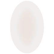 Izložbeni samoljepljivi flasteri Lifesystems Blister Plasters 6 Pack