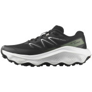 Ženske cipele Salomon Ultra Flow 2 W