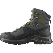 Muške cipele Salomon Quest Element Gore-Tex