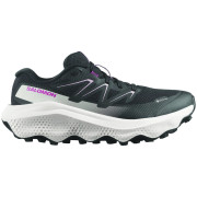 Ženske tenisice za trčanje Salomon Ultra Flow 2 Gore-Tex