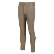 Muške hlače Regatta Sandros Trouser bež