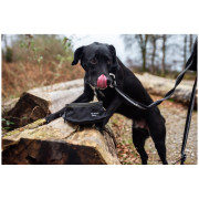 Zdjelica za psa Mountain Paws Collapsible Dog Food Bowl