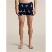 Muške funkcionalne bokserice Icebreaker Men M 150 Anatomica Boxers BearTourAOP