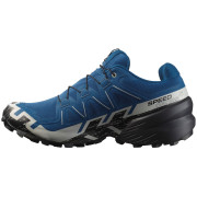 Muške tenisice za trčanje Salomon Speedcross 6 Gore-Tex