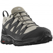 Muške cipele za planinarenje Salomon X Ward Leather Gore-Tex zelena