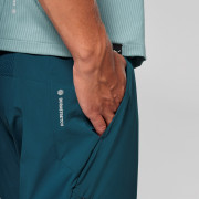 Muške hlače Salewa Pedroc 3 Dst Light Pant M