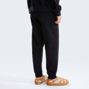 Muške trenerke The North Face M Evolution Simple Dome Regular Jogger