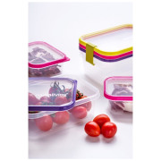 Kutija za hranu Omada Sanaliving Box Set 3x 19x14x13,5cm/2,1L