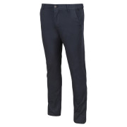 Muške hlače Regatta Sandros Trouser siva