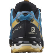 Muške tenisice za trčanje Salomon Xa Pro 3D V8