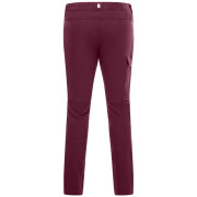 Dječje hlače Regatta Tech Mountain Trousers Fig