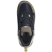 Dječja obuća Adidas Terrex Anylander Mid Climaproof J Blue