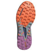 Ženske cipele Adidas Terrex Agravic Flow 2