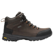 Muške planinarske cipele Regatta Burrell Leather Boot II tamno smeđa Peat