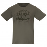 Muška majica Bergans Classic V2 Tee zelena