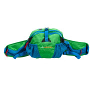 Torbice oko struka Pinguin Hip bag (2019) zelena