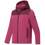 Dječja dukserica Regatta Myla Hybrid Jacket Fig/Violet