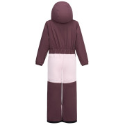 Dječji kombinezon Dare 2b Rodeo Snowsuit Hucklbr/PkHz