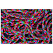 Uže za penjanje Tendon Master Pro 9,2 mm (60 m) CS