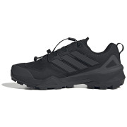Muške cipele za planinarenje Adidas Terrex Skychaser Gt