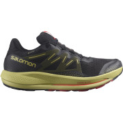 Muške tenisice za trčanje Salomon Pulsar Trail Gtx crna/zelena