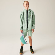 Dječja jakna Dare 2b Kids Switch II Jacket GlacierGreen