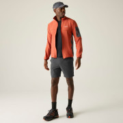 Muške kratke hlače Regatta Anti-Insect Travel Light Shorts